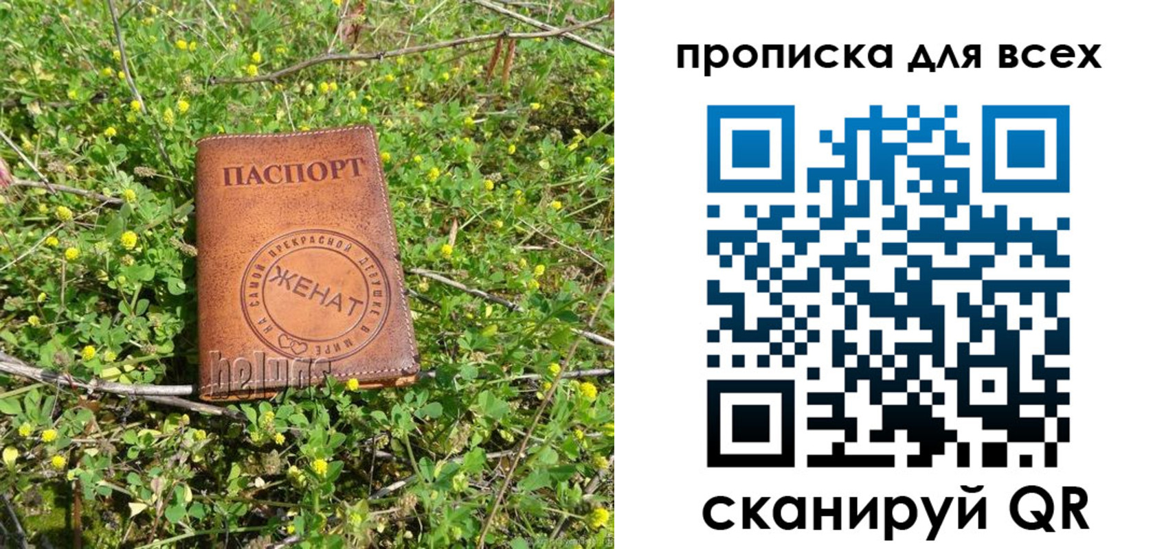 прописка поиск в Кохме